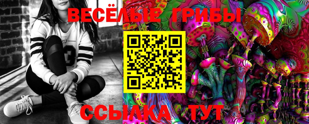 Галлюциногенные грибы GOLDEN TEACHER Новосибирск